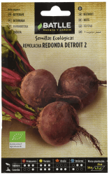 Bio Samen - Rote Beete Detroit 2 (125 Samen - Bio) 🌱🥕