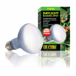 Exo Terra Daylight Basking Spot, Breitspektrum Tageslichtlampe, R20, 75W, Fassung E27 🌞🦎