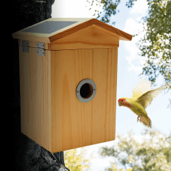 🐦📷 Croci Vogelhaus WiFi mit Solarpanel, Akku und Kamera HD 1080p