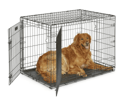 🐾 MidWest Homes for Pets iCrate Modell 1542DDU Hundebox - Sicherheit und Komfort für deinen Hund 🐶