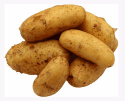 🥔🌿 BLEICHHOF® 5kg Annabelle Kartoffeln aus der Pfalz 🌿🥔