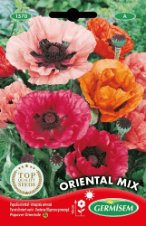 🌺🌼 Germisem Türkischer Riesenmohn EC1570 mehrfarbig 🌼🌺