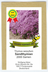 🌿🌸 Super Deal: Sandthymian Samen - Hervorragender Bodendecker!