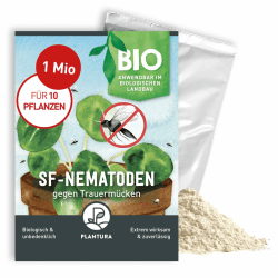 🌱 Hochwirksame Plantura SF-Nematoden gegen Trauermücken
