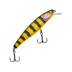 🎣 Angebot: Illex Poisson Nageur Arnaud 100 F - 10cm - 16g - Zander Bee 🐝