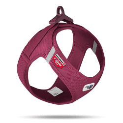 🐕 Hundegeschirr-Angebot: Vest Harness curli Clasp Air-Mesh Ruby S - 18.99€