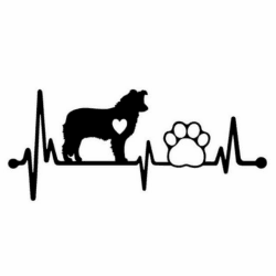 🚗🐶 Autoaufkleber Border Collie Herzschlag Liebe Kardiogramm Aufkleber 18cm Schwarz Hundepfoten Haustier Hund Wasserdicht Dekor Aufkleber