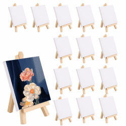 APACALI 15 Stück Mini Leinwand mit Staffelei - Kunstbedarf 🎨