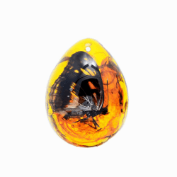 🦋🔮 Funrelaxer Bernstein Fossil mit Insekten Proben Steine Kristall Exemplare Anhänger DIY Schmuck 🐝🦗