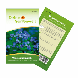Vergissmeinnicht Indigo Compacta Blue Samen - Myosotis sylvatica - Angebot