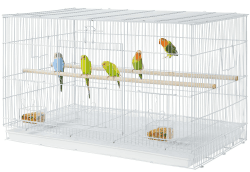 🐦 Vogelkäfig für Papageien und Sittiche 🦜 | Extra geräumig und sicheres Türendesign