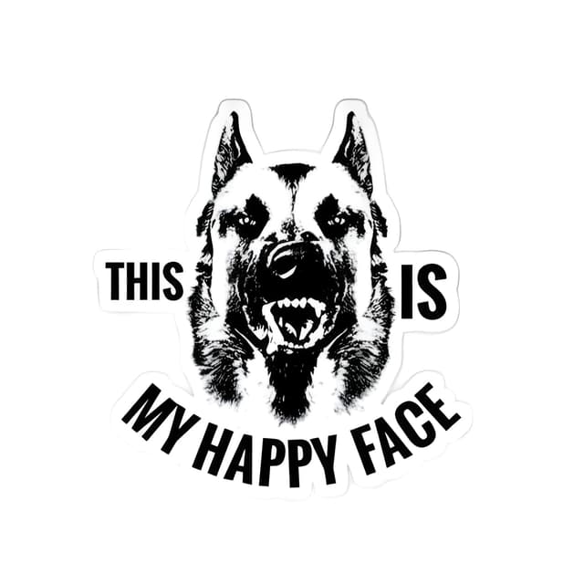 🚗 Autoaufkleber Belgische Malinois 18cm 🐶 Warnschild Sticker 😊