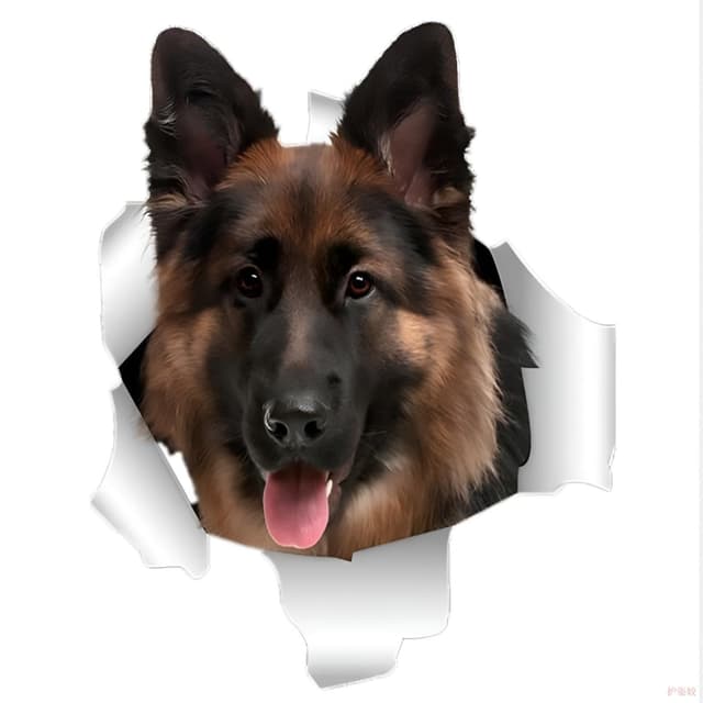 Autoaufkleber Deutscher Schäferhund Wasserfester Autoaufkleber 22Cm 🐕🚗