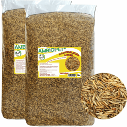 🦜🐍🐠 ZooMenu 10kg (5+5) Hermetia - Schwarze Soldatenfliegenlarven 🐛🌿