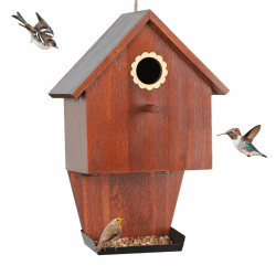 🐦🌿 JAZUIHA Vogelhaus aus Holz für Meisen & kleine Vögel 🌿🐦