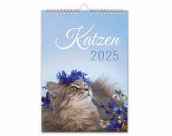 🐱📅 Kalender 2025 Katzen Wandkalender DIN A4 blau 🐱📅