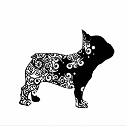 Französische Bulldogge Aufkleber 15cm Schwarz