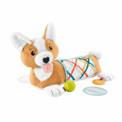 Fisher-Price Baby-Spielzeug 3-in-1 Hündchen Spielkissen 🐶🌟