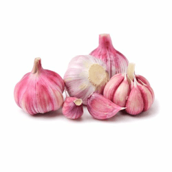 Violetter Knoblauch | Frischer Lila Knoblauch aus Spanien (5 Stück) 🌿🚚🌟