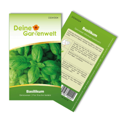 Angebot: Basilikum Genoveser Samen - Ocimum basilicum