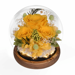 Konservierte Rosen Ewige Rose im Glas mit Licht, Infinity Blumen als Geschenke für Frauen Mama Oma Freundin zum Valentinstag Muttertag Geburtstag Jahrestag Thanksgiving Hauptdekor Weihnachten, Gelb