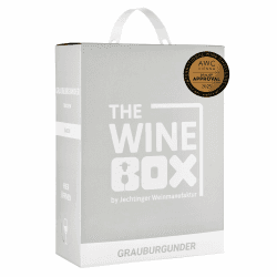 Deal: Wein-Box Grauburgunder trocken - Jechtinger Weißwein 🍇🍏🍊