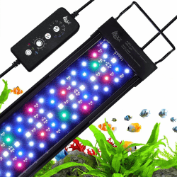 🐠 AQQA Aquarium LED Beleuchtung, 12W Vollspektrum 24/7 Modus 🌿