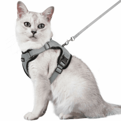 🐱‍👤 Rabattangebot: Rabbitgoo Katzengeschirr mit Leine Softgeschirr für Katze