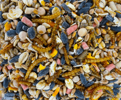 UGF - Vogelfutter Wildvögel Ganzjährig 5kg 🌿🦜🐛
