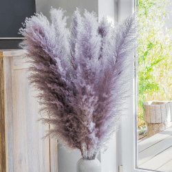 Leisure Life® | 8X Pampasgras groß 113cm 🌾 | Natürliche lila XXL Trockenblumen als Blickfang
