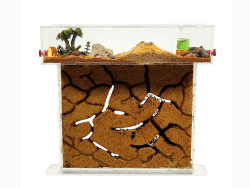ANTHILLSHOP - Großer Natürlicher Sand Ameisenfarm 🐜🏞️