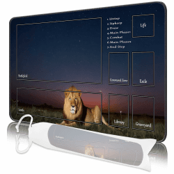 🃏 MTG Spielmatte 24x14 - Löwe 🦁