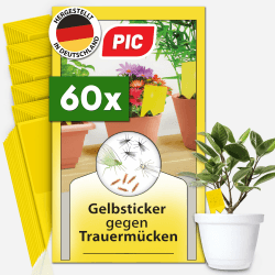 🌼🪰 PIC Gelbsticker Trauermücken - 60x Gelbtafeln gegen Trauermücken