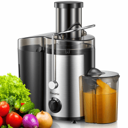Reemix Entsafter Gemüse und Obst, Max Juicer Machine aus Edelstahl mit 3 Geschwindigkeitsstufen (Schwarz, 800W)