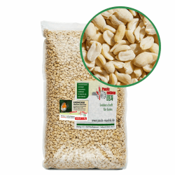 Premium Erdnüsse für freilebende Vögel 🐦🥜