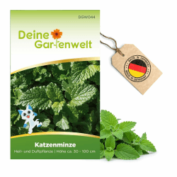 Anbausatz Katzenminze Samen 🌿🐈 - Nepeta cataria - Kräutersamen für 500 Pflanzen