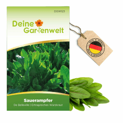 Sauerampfer Mehrjährig Samen - Rumex acetosa - Saatgut für 200 Pflanzen 🌱 DeineGartenwelt