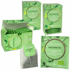 Creano Bio Tee WELLNESS-TEE, Kräuter-Grünteemischung, BIO Teebeutel-Tee 3er Pack (3x 20 Beutel) 🍵🌿