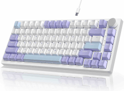 YINDIAO AK820 Mechanische Tastatur mit Knopf,75% ANSI-Layout,82 Tasten,Kabelgebundene Gaming-Tastatur,Verbesserte Dichtungsmontage,Hot Swappable,Custom Linearer Schalter,RGB-Licht,für PC,MAC (Lila) USB-C Wired Weiß Lila(USB-C Wired,Meersalz Schalter)