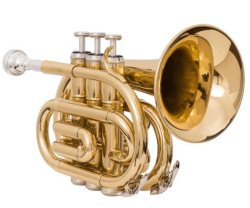 JustIn TTR-100 Bb- Taschentrompete