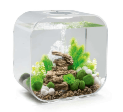biOrb Nano-Aquarium Komplett-Set LIFE 30 MCR transparent