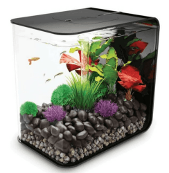 biOrb Aquarium FLOW 30 MCR Nano-Aquarium