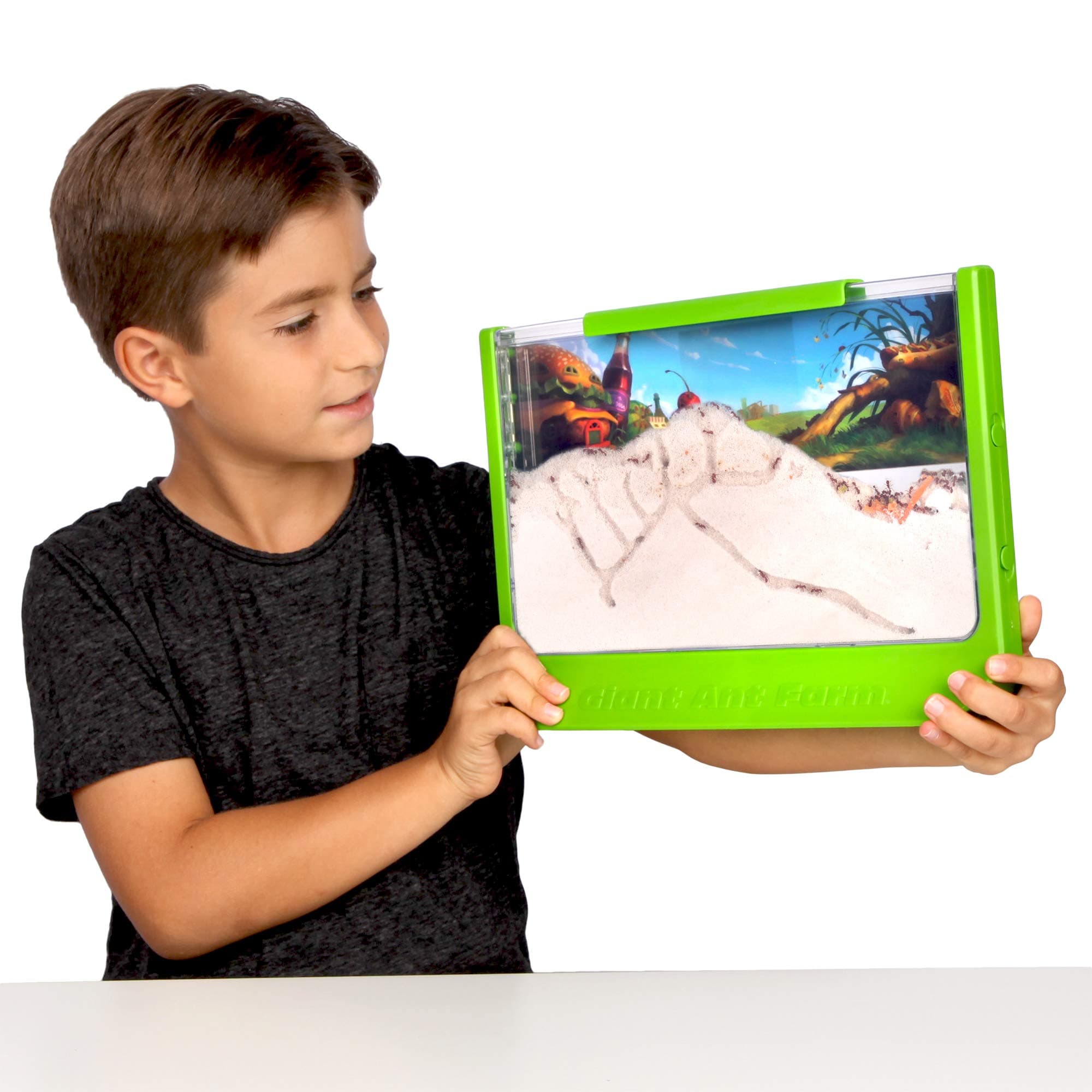 🐜🔬 Basic Fun Onkel Milton Riesen-Ameisenfarm Spielzeug - Perfekt für das Klassenzimmer!