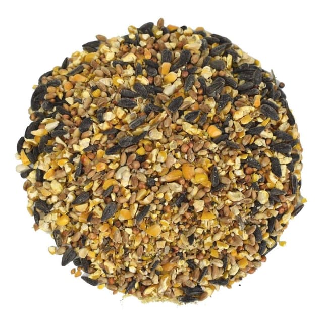 🐦🌿 KLASEBO Streufutter 10 kg - Premium Wildvogelfutter 🌿🐦