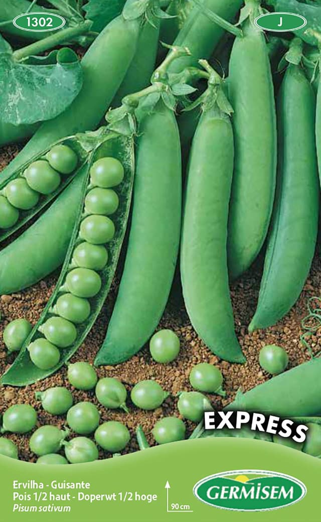 🌱 Germisem Erbsen EXPRESS 100g 🌿