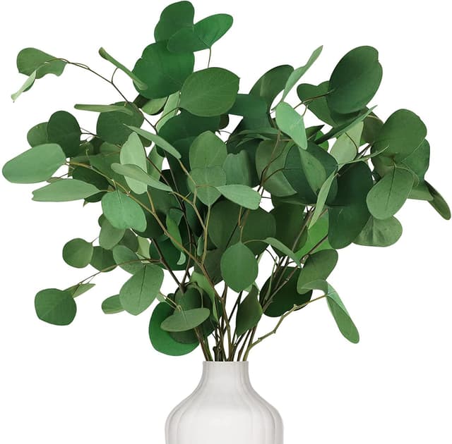 🌿 Oning Eukalyptus Getrocknet für Deko - 7-10 Stk Silberdollar Eukalyptuszweige