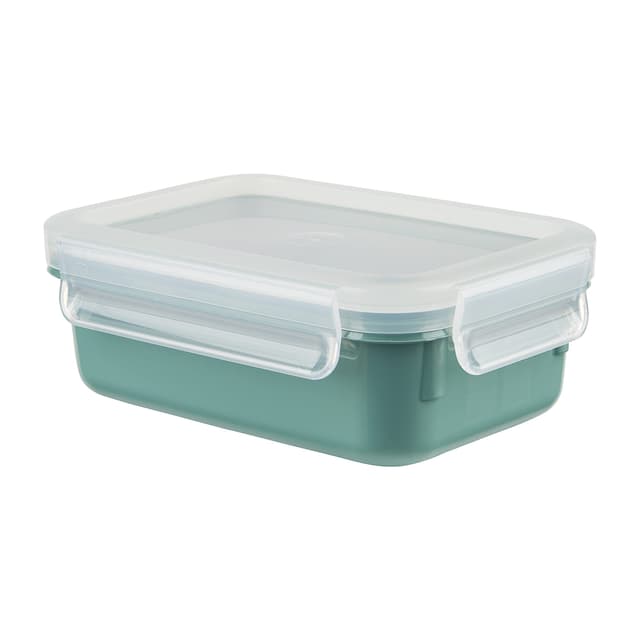 Emsa N10124 Clip & Close Color Edition Frischhaltedose | 0,55 Liter | 100% auslaufsicher/hygienisch | BPA-frei | Puder Grün