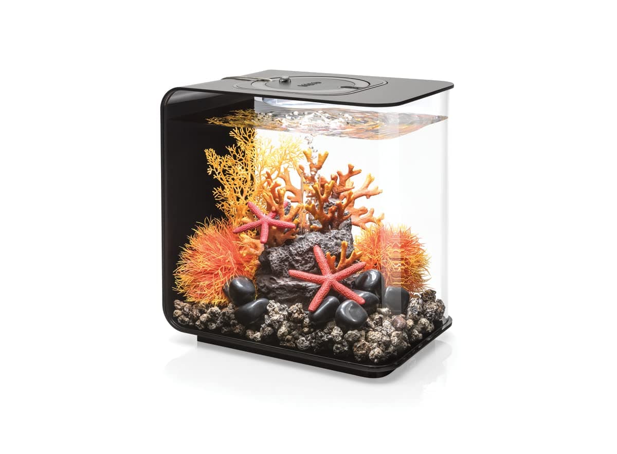 🐠🌿🌟 BiOrb Flow 15 MCR Schwarz - Aquarien-Komplettset mit LED Beleuchtung 🌟🌿🐠