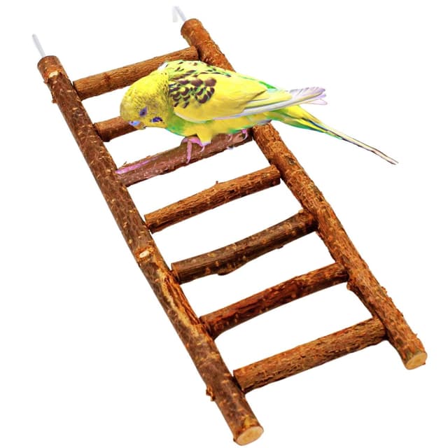 🐦 Vogelgaleria® Tolle Vogelleiter aus leckerem Naturholz 🌿 | Leiter ohne Klebstoff | Wellensittich Spielzeug