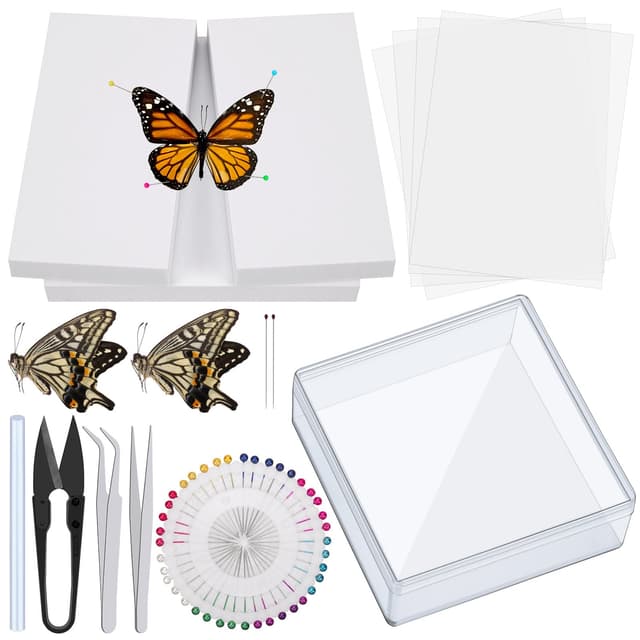 Mardatt 15 Stück Insekt Pinning Kit 🦋🐜🔬